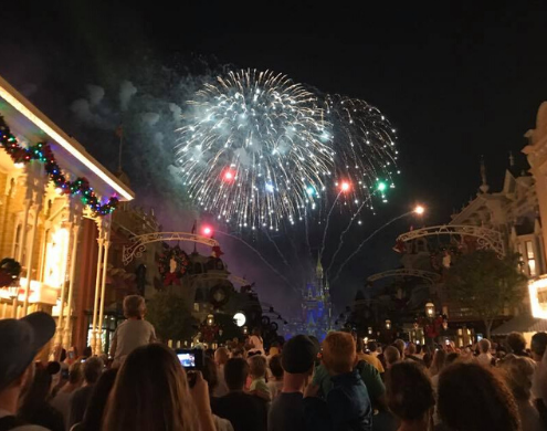 Crowd of people looking at fireworks