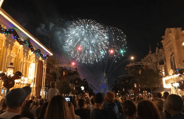 Crowd of people looking at fireworks