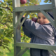 child picking apples with ladder