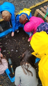 Children in the garden